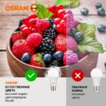 Лампа светодиодная LED Value LVCLA75 10SW/840 10Вт грушевидная матовая E27 230В 10х1 RU OSRAM 4058075578852 — изображение 3