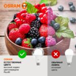 Лампа светодиодная LED Value LVCLA150 20SW/840 20Вт грушевидная матовая E27 230В 10х1 RU OSRAM 4058075579323 — изображение 4