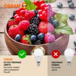 Лампа светодиодная LED Value LVCLP60 7SW/830 7Вт шар матовая E14 230В 10х1 RU OSRAM 4058075579620 — изображение 4