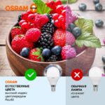 Лампа светодиодная LED Value LVCLP75 10SW/865 10Вт шар матовая E14 230В 10х1 RU OSRAM 4058075579774 — изображение 4