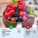 Лампа светодиодная LED Value LVCLP75 10SW/865 10Вт шар матовая E27 230В 10х1 RU OSRAM 4058075579958 — изображение 4