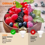 Лампа светодиодная LED Value LVPAR1635 5SW/830 5Вт GU10 230В 10х1 RU OSRAM 4058075581333 — изображение 5