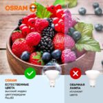 Лампа светодиодная LED Value LVPAR1660 7SW/865 7Вт GU10 230В 10х1 RU OSRAM 4058075581616 — изображение 3
