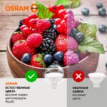 Лампа светодиодная LED Value LVMR1635 5SW/840 5Вт GU5.3 230В 10х1 RU OSRAM 4058075582422 — изображение 3