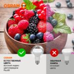 Лампа светодиодная LED Value LV R63 60 8SW/840 8Вт рефлектор матовая E27 230В 10х1 RU OSRAM 4058075581913 — изображение 4