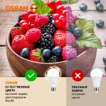 Лампа светодиодная LED Value A 25Вт 3000К тепл. бел. E27 2000лм угол пучка 180град. 220-240В матов. пластик (замена 200Вт) OSRAM 4058075696716 — изображение 4