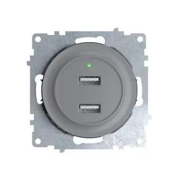 1656749.jpg Розетка USB 2-м СП Florence 16А IP20 с подсветкой механизм сер. (1E10351302) OneKeyElectro 2260091 — изображение 1