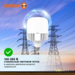 Лампа светодиодная HW 65Вт T матовая 6500К холод. бел. E27/E40 6500лм угол пучка 200град. 140-265В PF>/=0.9 алюм. (замена 650Вт) OSRAM 4099854121579 — изображение 5