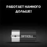 Элемент питания алкалиновый C/LR14 1.5В (блист. 2шт) Basic Opticell 5051004/6051004 — изображение 4