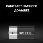 Элемент питания алкалиновый D/LR20 1.5В (блист. 2шт) Basic Opticell 5051005/6051005 — изображение 4