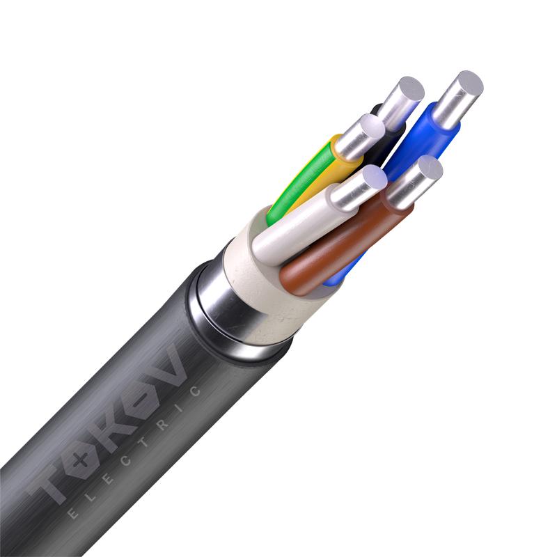 1992228.jpg Кабель TOKOV ELECTRIC АВБШв 5х6 ОК (N PE) 0.66кВ (м) 00-00036325 — изображение 1