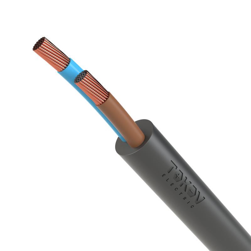 2037885.jpg Провод TOKOV ELECTRIC ПВС 2х1 380В Ч (бухта) (м) 1945479 — изображение 1