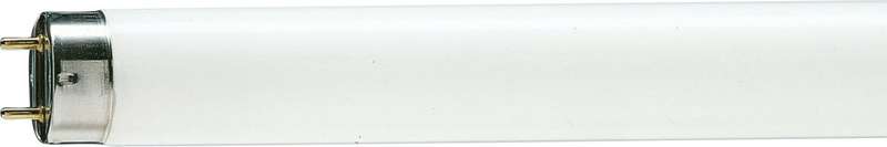 5403.jpg Лампа люминесцентная TL-D 18W/33-640 18Вт T8 4100К G13 PHILIPS 928048003351 — изображение 1
