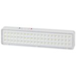 Светильник светодиодный DBA-103-0-20 60LED 5ч IP20 аварийный непостоянный Эра Б0044396