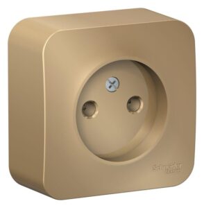 Розетка 1-м ОП Blanca 16А IP20 250В без заземл. без защ. шторок с изолир. пластиной титан SE BLNRA000114 — изображение 2