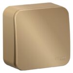 Выключатель 1-кл. ОП Blanca 10А IP20 (сх. 1) 250В с изолир. пластиной титан SE BLNVA101014 — изображение 2