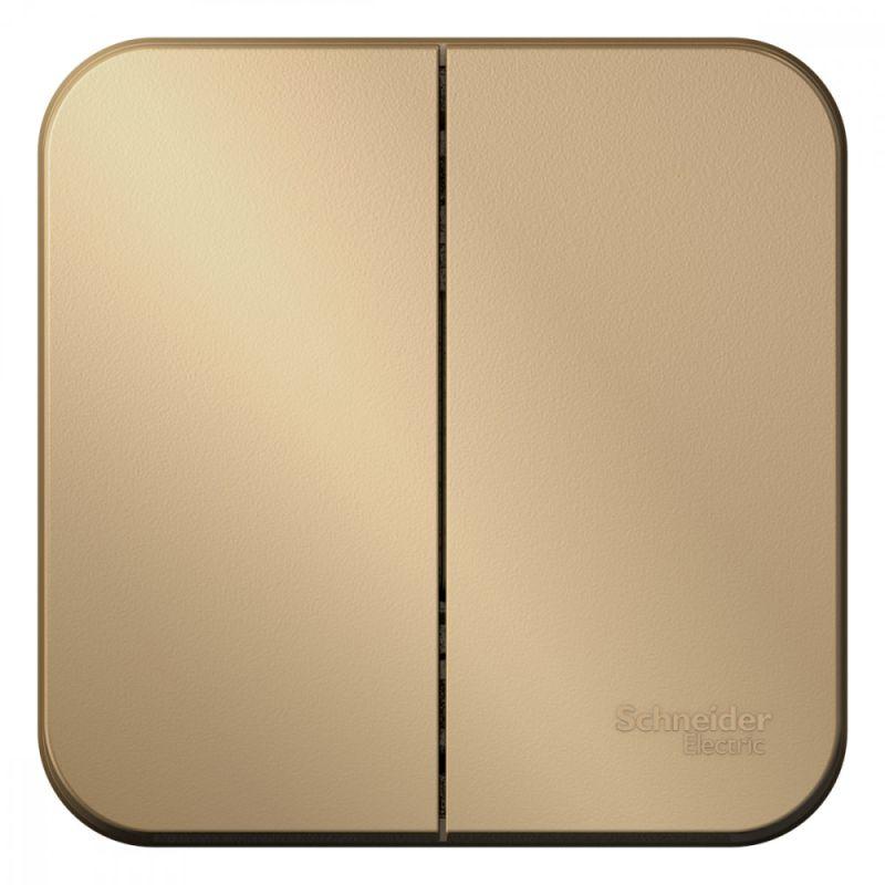BLNVA105014_2.jpeg Выключатель 2-кл. ОП Blanca 10А IP20 (сх. 5) 250В с изолир. пластиной титан SE BLNVA105014 — изображение 1