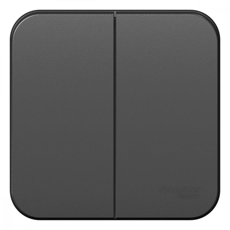 BLNVA105016_2.jpeg Выключатель 2-кл. ОП Blanca 10А IP20 (сх. 5) 250В с изолир. пластиной антрацит SE BLNVA105016 — изображение 1