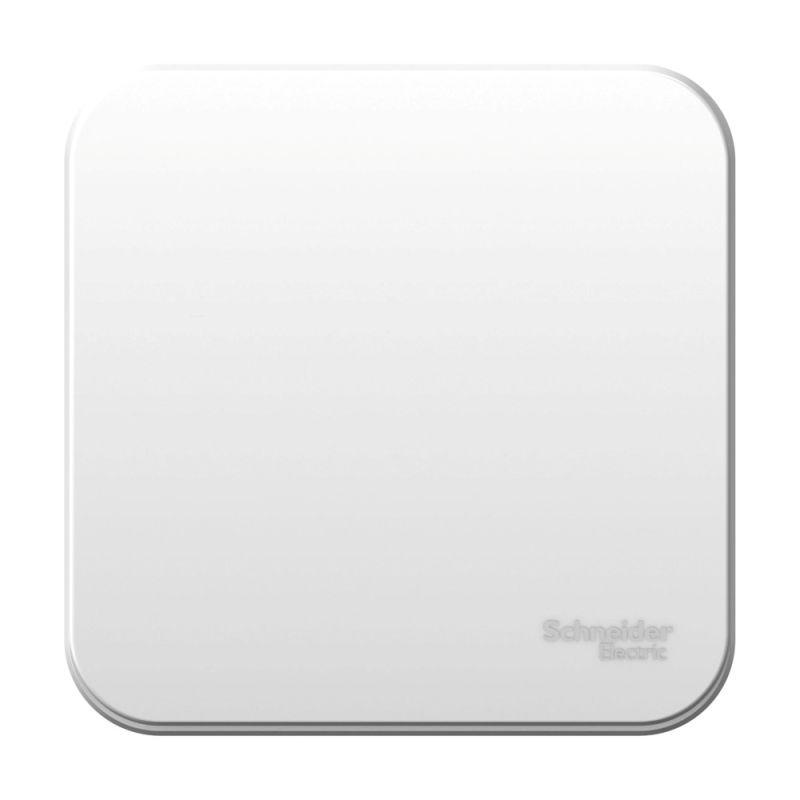 BLNVA106011_2.jpeg Переключатель проходной 1-кл. ОП Blanca 10А IP20 (сх. 6) 250В с изолир. пластиной бел. SE BLNVA106011 — изображение 1