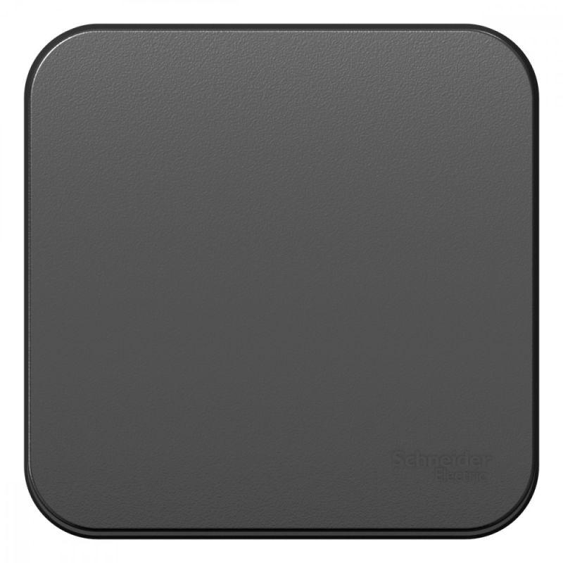 BLNVA106016_2.jpeg Переключатель проходной 1-кл. ОП Blanca 10А IP20 (сх. 6) 250В с изолир. пластиной антрацит SE BLNVA106016 — изображение 1