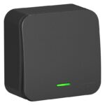 Переключатель проходной 1-кл. ОП Blanca 10А IP20 (сх. 6) 250В с подсветкой с изолир. пластиной антрацит SE BLNVA106116 — изображение 2