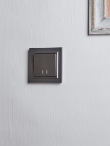 Выключатель 2-кл. СП BRITE ВС10-2-1-БрС 10А с индик. механизм сталь IEK BR-V20-1-10-K46 — изображение 3