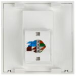 Розетка компьютерная 2мод. РКИ-20-00-П RJ45 кат.5E UTP механизм PRIMER IEK CKK-40D-RI2-K01 — изображение 3