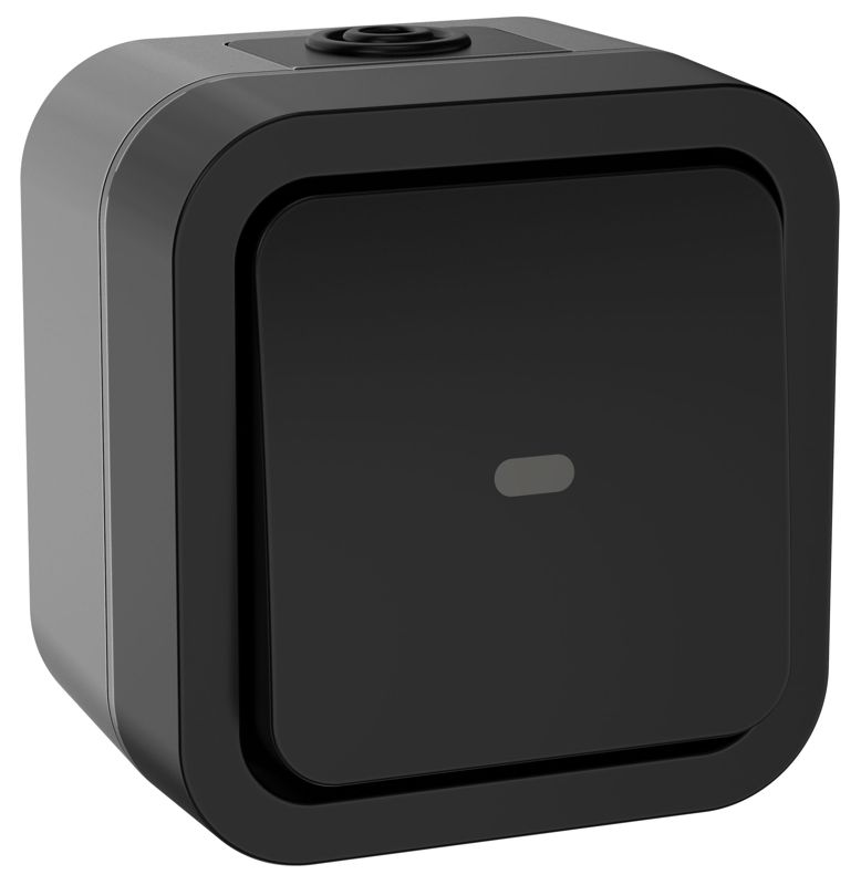 TS-V10-1-10-55-K53_1.jpeg Переключатель 1-кл. ОП TORS 10А IP55 TS102 с индикацией графит IEK TS-V10-1-10-55-K53 — изображение 1