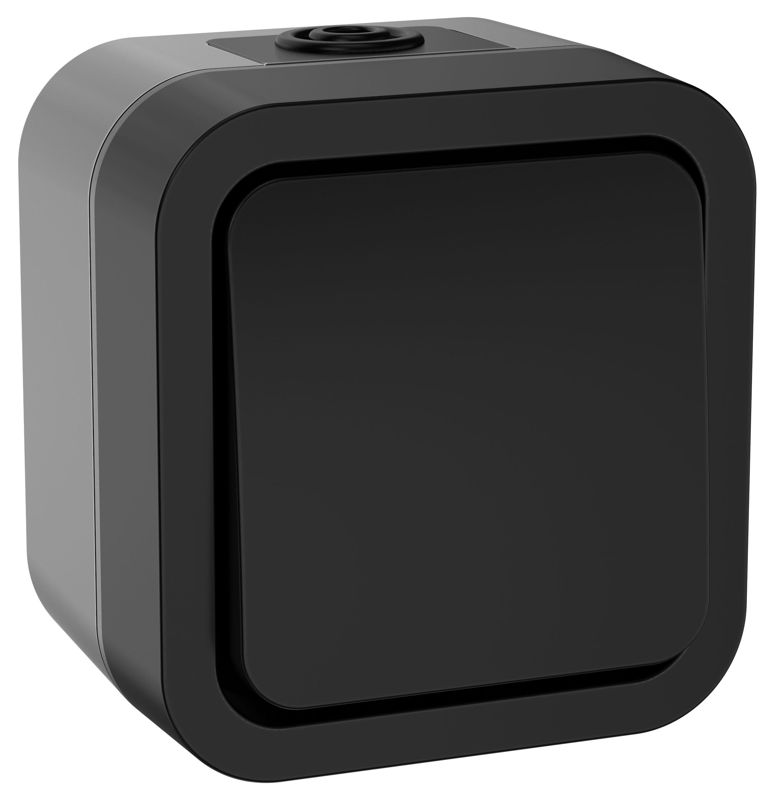 TS-V16-0-10-55-K53_1.jpeg Выключатель 1-кл. 2п ОП TORS TS111 10А IP55 графит IEK TS-V16-0-10-55-K53 — изображение 1